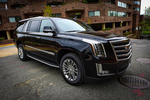 The All-Star Team™ – Monuments and Memorials Day or Night (4 hours)