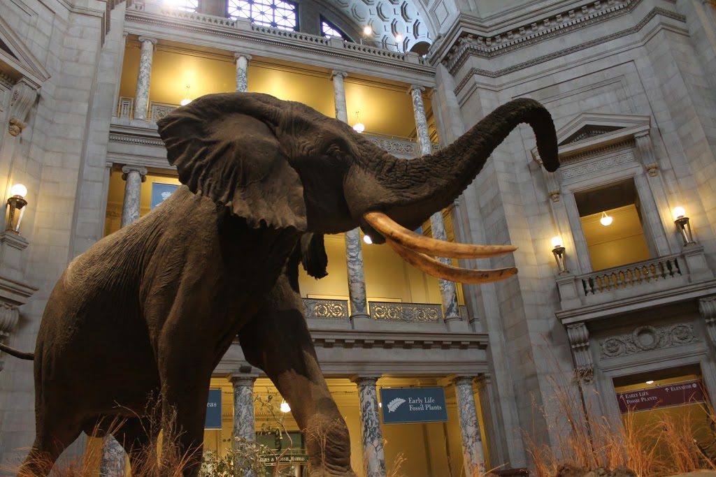 The Big Three™ – American History, Natural History, & Air and Space museums  (4 hrs)